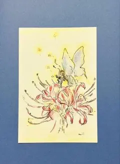 原画　色鉛筆画　彼岸花の妖精　ハガキサイズ