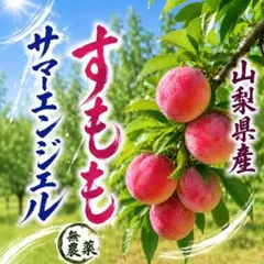 山梨県産すもも　サマーエンジェル　数量限定のサムネイル