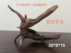 HX-308 流木 ホーンウッド マシンガンウッド アクアリウム ブランチ
