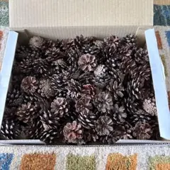 Item thumbnail for item d804bed0-45b0-4e61-b3b1-95145cf1b50f