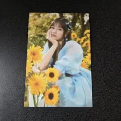 Weeekly ウィクリ ジハン トレカ ヨントン チェキ Weeekly ウィクリ ジハン トレカ ヨントン チェキ SEVENTEEN