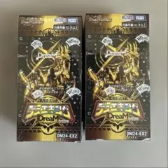 2026年最新】デュエキングDreaM2024 boxの人気アイテム - メルカリ
