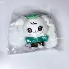 IVE EVERLAND ぬいぐるみ キーリング 未開封 CHEEZ リズ - メルカリ