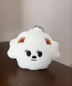 TXT　プルバトゥ　バムグッ　コインポーチ