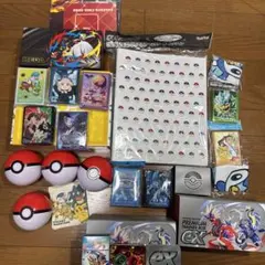 ポケモンカード サプライ 引退品 スリーブ コイン ファイル ストレージ