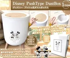 ディズニー ミッキー＆ミニー プッシュ式ダストボックス