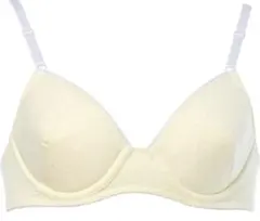 Item thumbnail for item 07297bcf-7897-4df9-9fb0-bc207299f86d