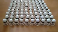 2026年最新】ノック用シャトルの人気アイテム - メルカリ