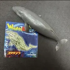 コククジラ　ブックレット くじら　&co デアゴスティーニ　アンドコ