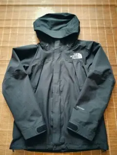 THENORTHFACEゴアテックスマウンテンジャケットNP61540パーカー