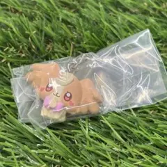 ガチャガチャ ぷちきゅあ めじるし アクセサリー こむぎ