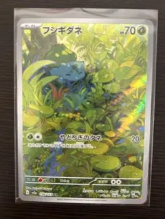 フシギダネ　AR 166/165