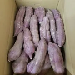 サツマイモ 茨城県産 紅あずま 箱含む5キロ