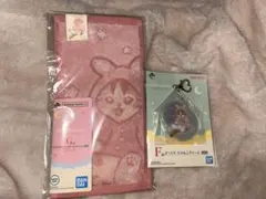 モフサンド一番くじG賞F賞ハンドタオルぷっくりにゃんこチャーム