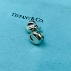 2025年最新】ティファニービーンズピアスの人気アイテム - メルカリ