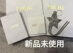 【非売品】Dior 世界地図スターチャーム(キーリング)