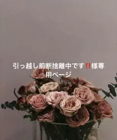 引っ越し前断捨離中です‼️様専用ページ