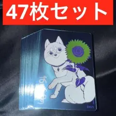 100枚】ナツコミ シバつき物件 サイン入り 2026 メタキラカード - メルカリ