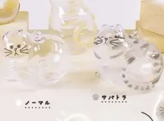 うちの子のけだまだま ガチャ ノーマル サバトラ 正規品 キーホルダー