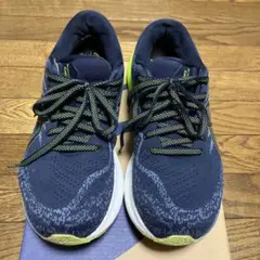 アシックス　GEL-KAYANO29 メンズ　26.0 2E