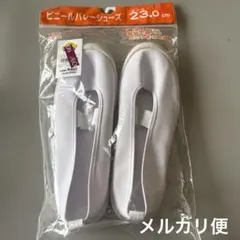 ⭐️早い者勝ち⭐️ビニールバレーシューズ　２３.0センチ　新品