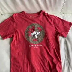 2026年最新】coach ディズニーtシャツの人気アイテム - メルカリ