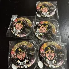 ソフトバンクホークス 選手バッジセット