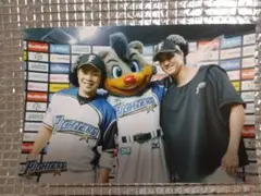 大谷翔平 2015 ハイライトフォト No.221 日本ハム 球団公式写真