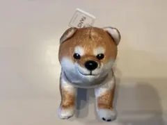 fans 柴犬ぬいぐるみBIG