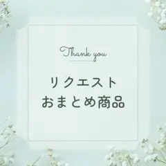 pokopon様 リクエスト 3点 まとめ商品