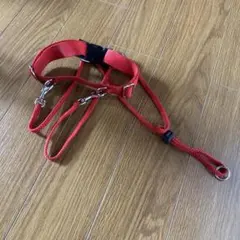 大型犬用ハーネス レッド 胴輪のサムネイル