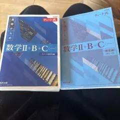 新課程チャート式基礎からの数学C 解答付き