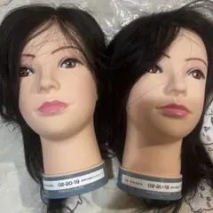 新品国試用カットウィッグ　2個 YUKARI JAPAN 24-2Cut【美容師実技試験練習用/人毛100%】の卸