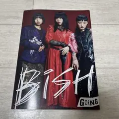 ロッキング・オン・ジャパン2021年9月号付録　BISH