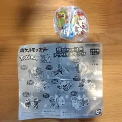 ポケットモンスター旅立ちの3匹 アクリルスイング　ガラル