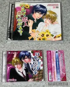 2026年最新】桜賀めいの人気アイテム - メルカリ
