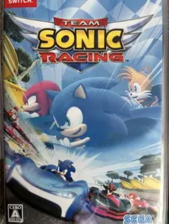 チームソニックレーシング