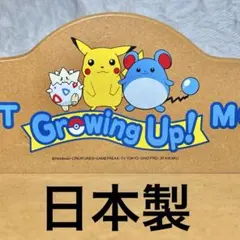 国内製 ポケモン 卓上収納棚 ラック フィギュア飾り 小物置き ピカチュウ任天堂