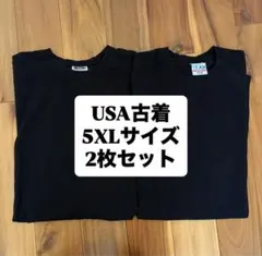 USA古着 5XLサイズまとめ売り 2枚セット Tシャツ ビンテージMIX半袖