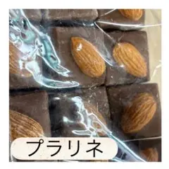 ロイスダール アウトレット プラリネチョコ