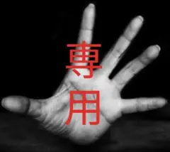 専用
