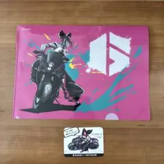 TGS2025 ジュリ　ストリートファイター6 クリアファイル限定ボイスカード付