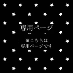 専用ページ