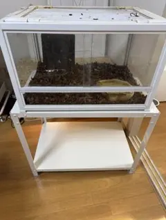 Item thumbnail for item 48050686-dd38-47ad-9c4b-24fc996c2420