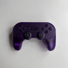 8BitDo Pro2 コントローラー