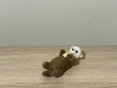 Item thumbnail for item 64f54cf0-265f-4587-919a-73ed863b88b0