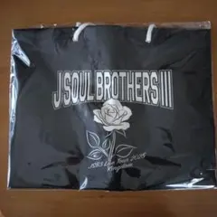 三代目J SOUL BROTHERS『KINGDOM』ビニールバッグ