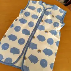 Item thumbnail for item c1b4a6c1-3814-4531-a7e1-eafb52093065