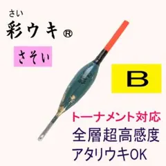 Item thumbnail for item bb2ce338-7ea1-40d4-867a-39b9d5be8d84