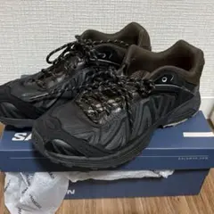 新品タグ付】SALOMON Aries xt whisper 28.5cm - メルカリ